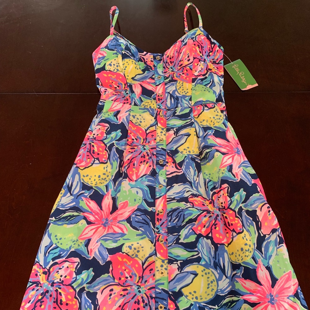 Lilly Pulitzer Size 00 Easton Dress